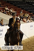 10buck_6796 proof