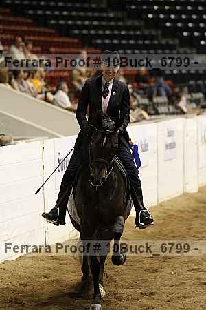 Proof 10buck_6799