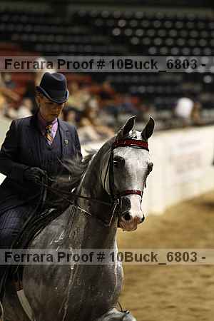 Proof 10buck_6803