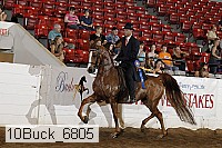 10buck_6805 proof