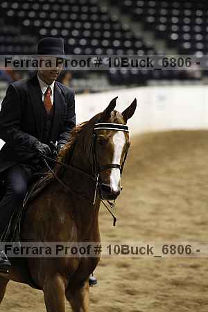 Proof 10buck_6806