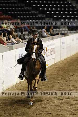 Proof 10buck_6807