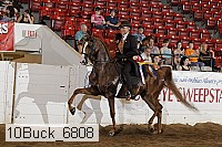 10buck_6808 proof