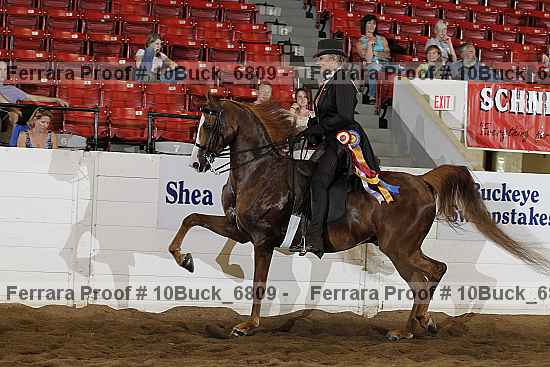 Proof 10buck_6809