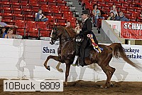 10buck_6809 proof