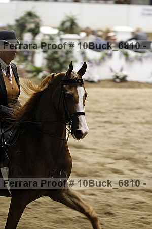 Proof 10buck_6810