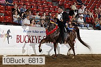 10buck_6813 proof