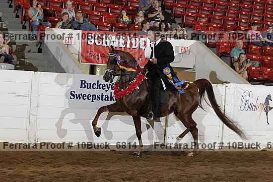 Proof 10buck_6814