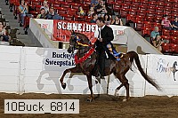 10buck_6814 proof