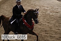 10buck_6815 proof