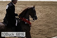 10buck_6816 proof