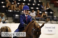 10buck_6818 proof