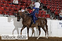 10buck_6820 proof