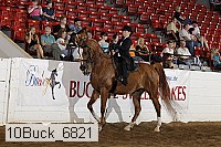 10buck_6821 proof