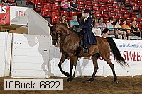 10buck_6822 proof