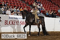 10buck_6823 proof