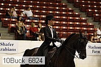 10buck_6824 proof