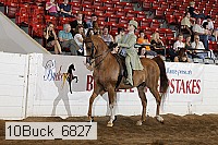 10buck_6827 proof