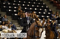10buck_6829 proof