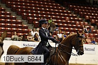 10buck_6844 proof