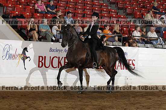 Proof 10buck_6845