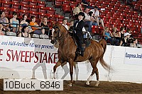 10buck_6846 proof