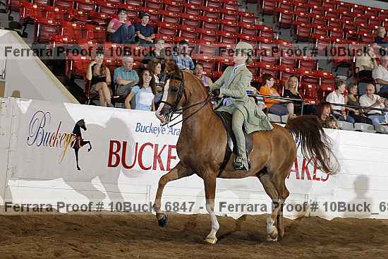 Proof 10buck_6847