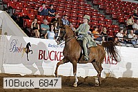 10buck_6847 proof