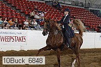 10buck_6848 proof