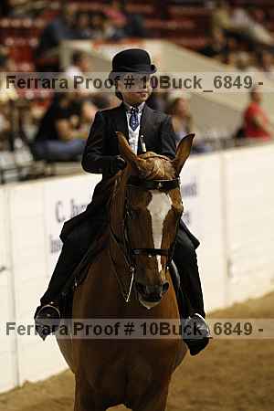 Proof 10buck_6849