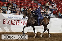 10buck_6850 proof