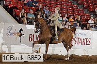 10buck_6852 proof