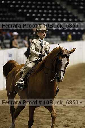Proof 10buck_6853
