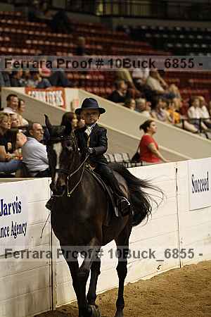 Proof 10buck_6855
