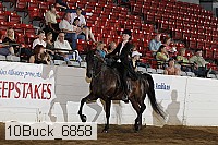 10buck_6858 proof