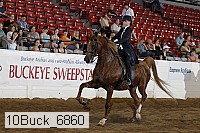 10buck_6860 proof