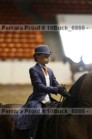 Proof 10buck_6866