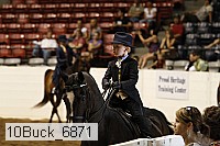 10buck_6871 proof