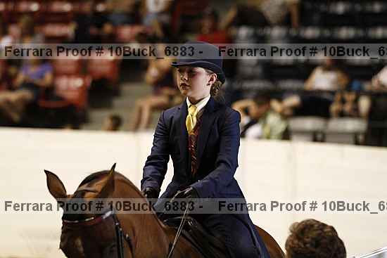 Proof 10buck_6883