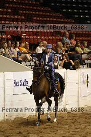Proof 10buck_6898