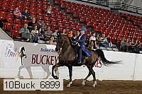 10buck_6899 proof
