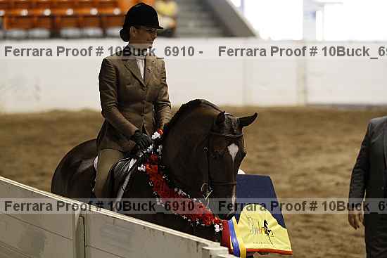Proof 10buck_6910