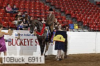 10buck_6911 proof