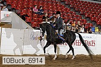 10buck_6914 proof