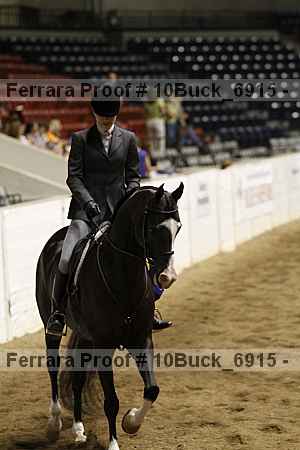 Proof 10buck_6915