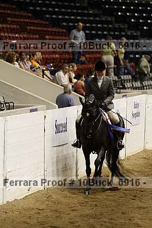 Proof 10buck_6916