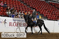 10buck_6917 proof