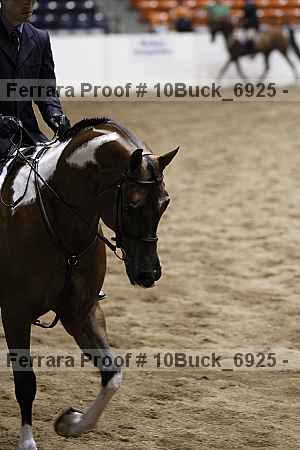 Proof 10buck_6925