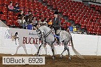 10buck_6928 proof