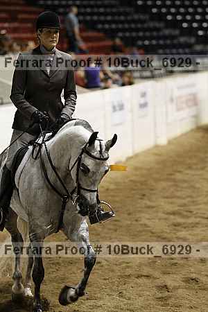 Proof 10buck_6929